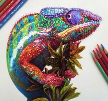 اخبار,اخبار گوناگون ,نقاشی با مداد رنگی 