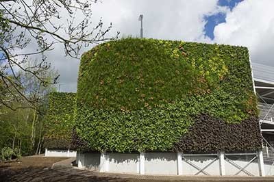 اخبار,اخبار گوناگون,ساخت بزرگ‌ترین دیوار سبز اروپا 