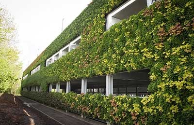 اخبار,اخبار گوناگون,ساخت بزرگ‌ترین دیوار سبز اروپا 