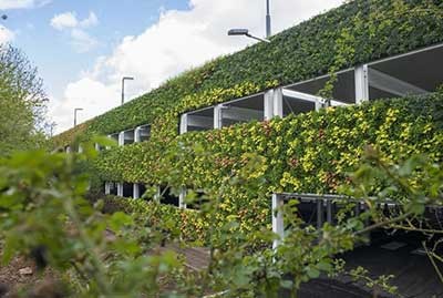 اخبار,اخبار گوناگون,ساخت بزرگ‌ترین دیوار سبز اروپا 