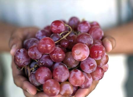 اخبار , اخبار گوناگون,آشنایی با میوه های جنوب شرق آسیا,تصاویر میوه های جنوب شرق آسیا