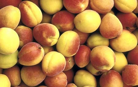 اخبار , اخبار گوناگون,آشنایی با میوه های جنوب شرق آسیا,تصاویر میوه های جنوب شرق آسیا