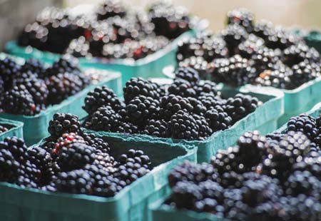 اخبار , اخبار گوناگون,آشنایی با میوه های جنوب شرق آسیا,تصاویر میوه های جنوب شرق آسیا