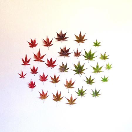 اخبار,اخبار گوناگون,هنرنمایی با مواد غذایی