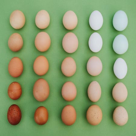 اخبار,اخبار گوناگون,هنرنمایی با مواد غذایی