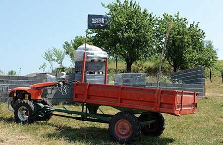 اخبار,اخبار بین الملل , گروه تروریستی داعش 