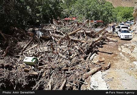 اخبار,اخبار حوادث ,بارش باران