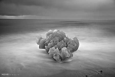اخبار,اخبارگوناگون ,تصاویر سیاه و سفید زیبا از طوفان در طبیعت