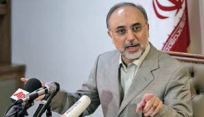 اخبار,اخبارسیاسی,رئیس سازمان انرژی اتمی ایران