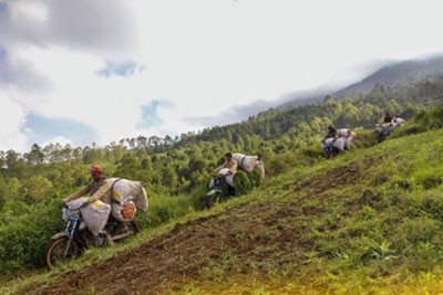 اخبار,اخبار جالب,موتورسواری با اعمال شاقه در اندونزی+تصاویر