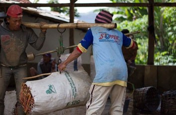 اخبار,اخبار جالب,موتورسواری با اعمال شاقه در اندونزی+تصاویر