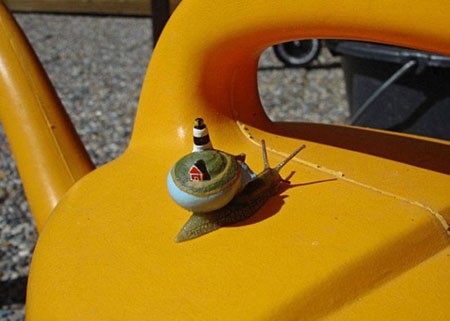 اخبار , اخبار گوناگون,هنر نقاشی روی صدف حلزون,عکس نقاشی روی صدف حلزون