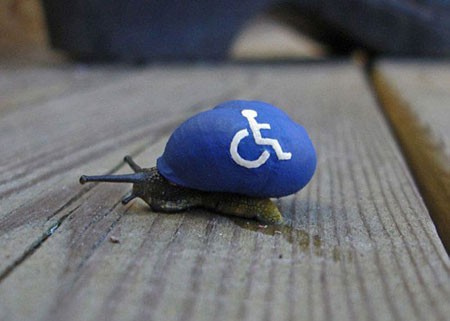 اخبار , اخبار گوناگون,هنر نقاشی روی صدف حلزون,عکس نقاشی روی صدف حلزون