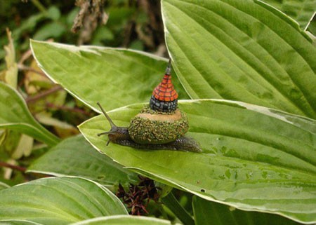 اخبار , اخبار گوناگون,هنر نقاشی روی صدف حلزون,عکس نقاشی روی صدف حلزون