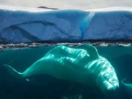 غیرعادی ترین نقاط توریستی در جهان + تصاویر