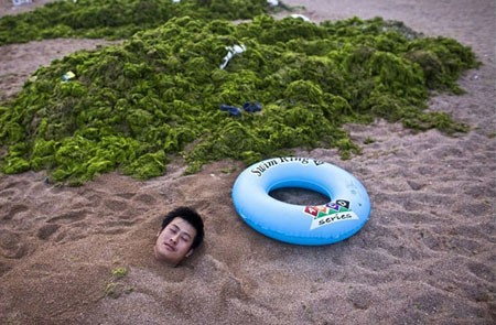 اخبار , اخبار گوناگون, شنا در جلبک‌های سبز