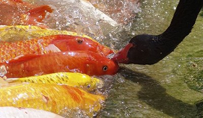 اخبار,اخبار امروز,اخبار جدید اخبار,اخبار امروز,اخبار جدید