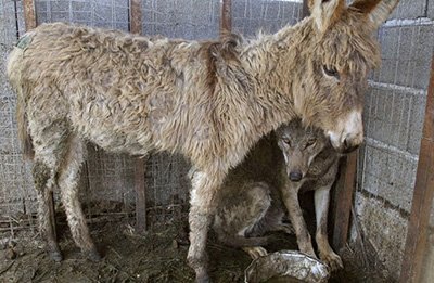 اخبار,اخبار امروز,اخبار جدید اخبار,اخبار امروز,اخبار جدید