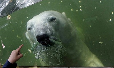 اخبار,اخبار امروز,اخبار جدید اخبار,اخبار امروز,اخبار جدید