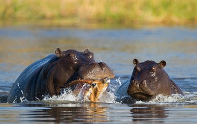 اخبار,اخبار امروز,اخبار جدید اخبار,اخبار امروز,اخبار جدید