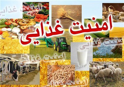 اخبار,اخبار اجتماعی,سلامت غذای ایران