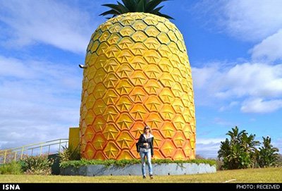 اخبار,اخبار گوناگون,عجایب گردشگری اخبار,اخبار گوناگون,عجایب گردشگری