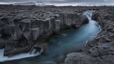 اخبار,اخبار گوناگون,طبیعت