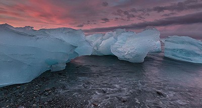 اخبار,اخبار گوناگون,طبیعت