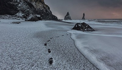 اخبار,اخبار گوناگون,طبیعت