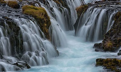 اخبار,اخبار گوناگون,طبیعت