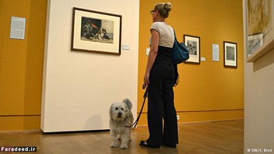 اخبار,اخبار وناگون,نقاشی برای سگ‌ها