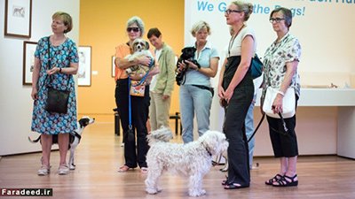 اخبار,اخبار وناگون,نقاشی برای سگ‌ها