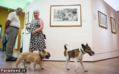 اخبار,اخبار وناگون,نقاشی برای سگ‌ها