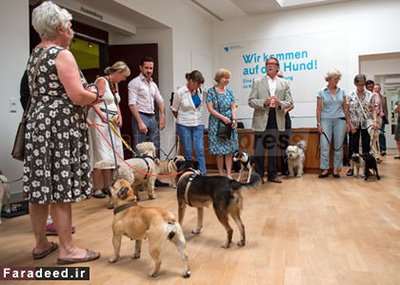 اخبار,اخبار وناگون,نقاشی برای سگ‌ها