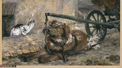 اخبار,اخبار وناگون,نقاشی برای سگ‌ها