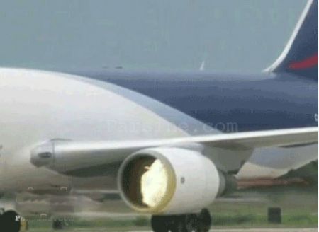 موتور هواپیما خدمه فرودگاه را تکه تکه کرد! +تصاویر(15+) 1