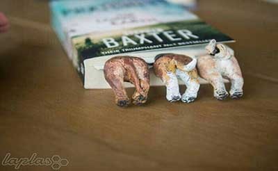 اخبار,اخبارگوناگون ,جالب‌ترین نشانه های خلاقانه