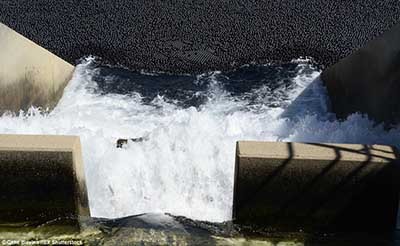 اخبار,اخبارگوناگون,جلوگیری  از تبخیر شدن آب