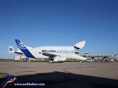 اخبار,اخباراجتماعی ,ایرباس بلوگا