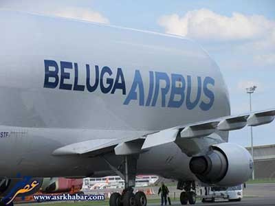 اخبار,اخباراجتماعی ,ایرباس بلوگا