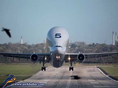 اخبار,اخباراجتماعی ,ایرباس بلوگا