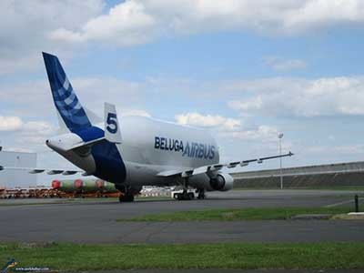 اخبار,اخباراجتماعی ,ایرباس بلوگا