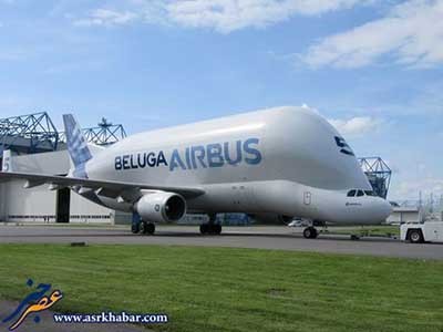 اخبار,اخباراجتماعی ,ایرباس بلوگا