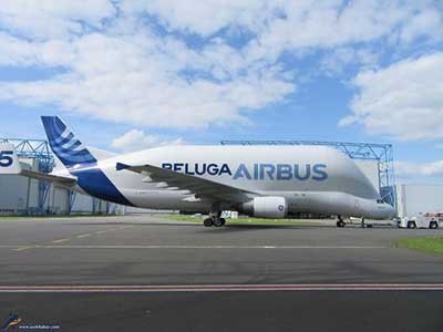 اخبار,اخباراجتماعی ,ایرباس بلوگا