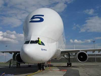 اخبار,اخباراجتماعی ,ایرباس بلوگا