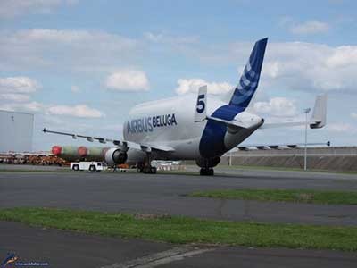 اخبار,اخباراجتماعی ,ایرباس بلوگا