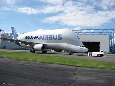 اخبار,اخباراجتماعی ,ایرباس بلوگا