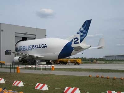 اخبار,اخباراجتماعی ,ایرباس بلوگا