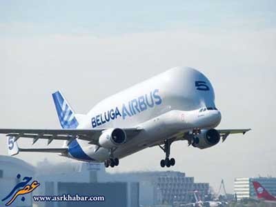 اخبار,اخباراجتماعی ,ایرباس بلوگا