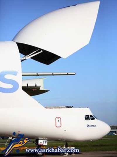 اخبار,اخباراجتماعی ,ایرباس بلوگا